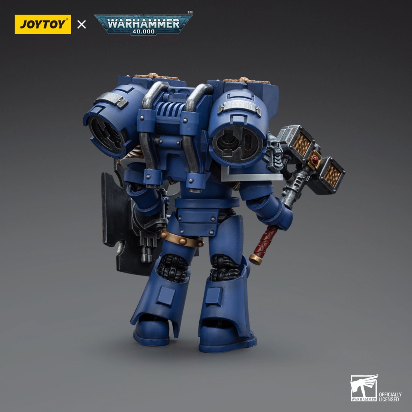 Ultramarines Vanguard Veteran with Thunder Hammer and Storm Shield