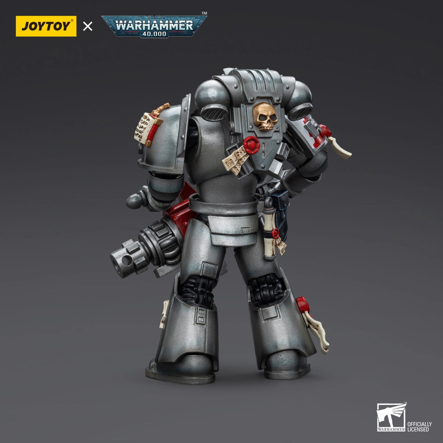 Grey Knights Strike Squad Grey Knight with Psycannon