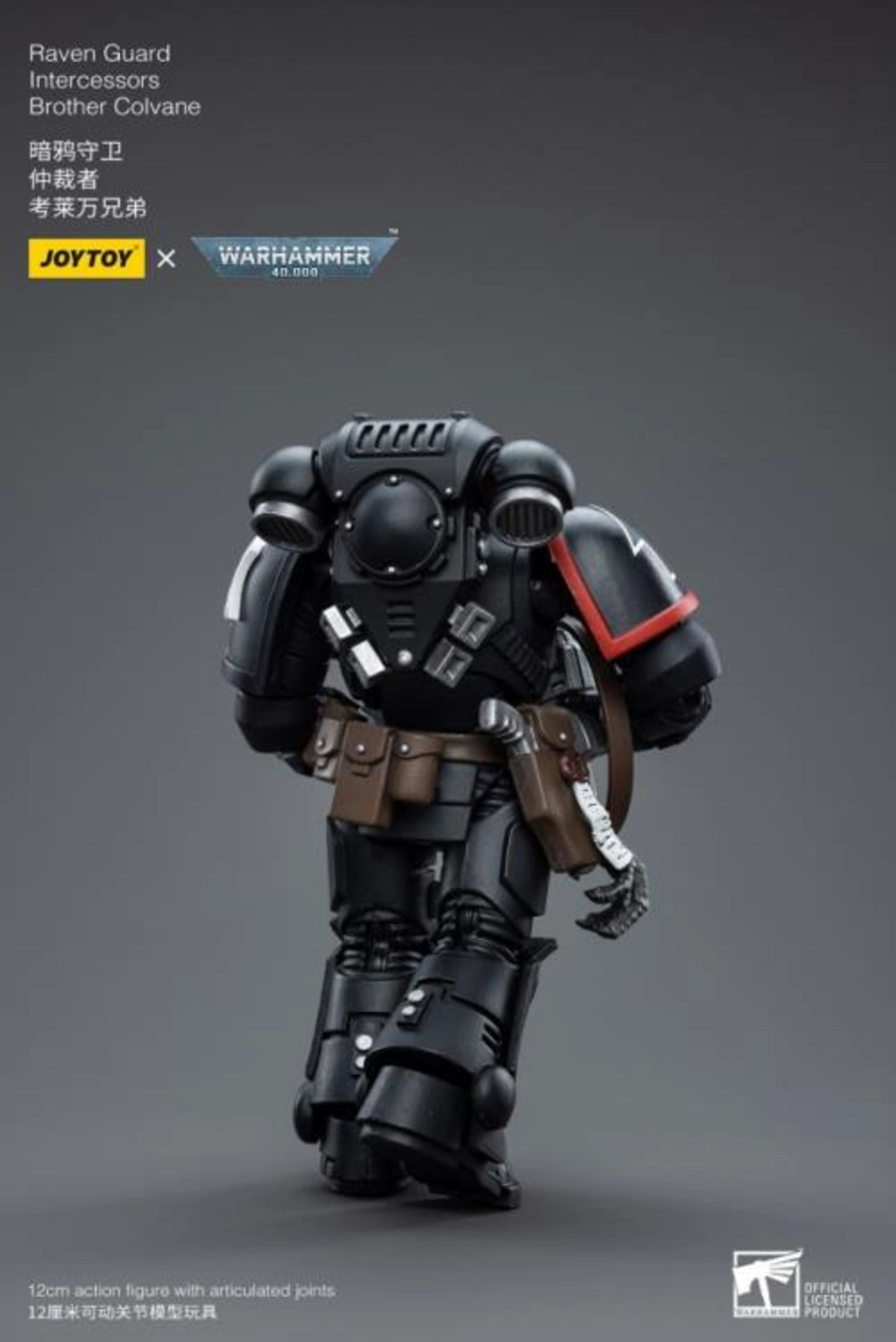 Raven Guard Intercessors Brother Colvane