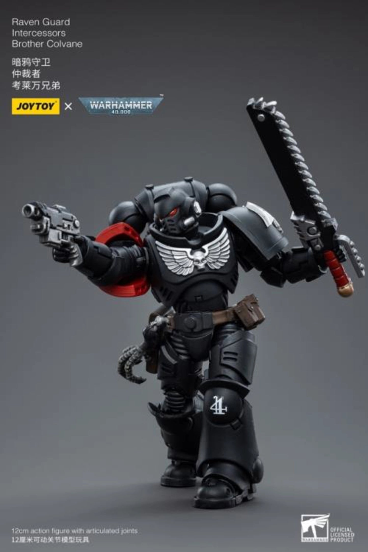 Raven Guard Intercessors Brother Colvane