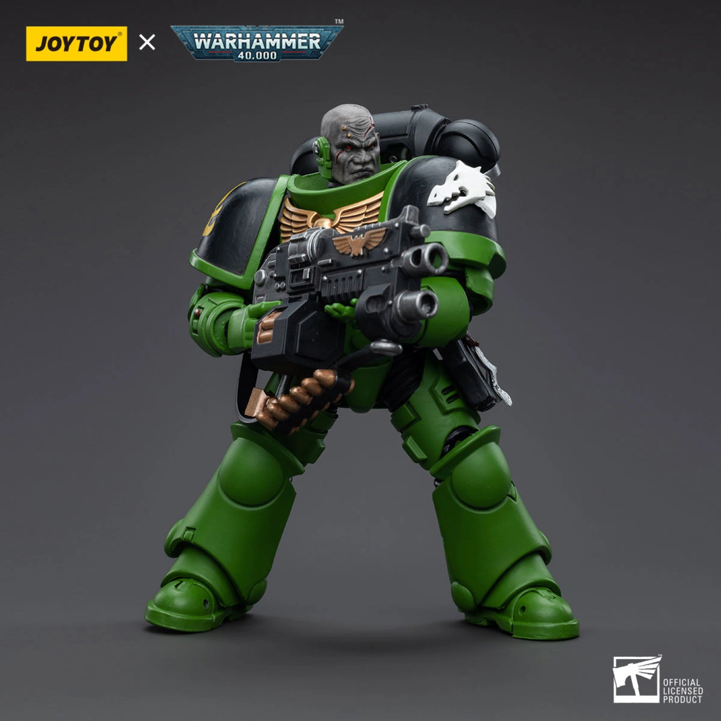 Salamanders Intercessors Brother Tol'vak