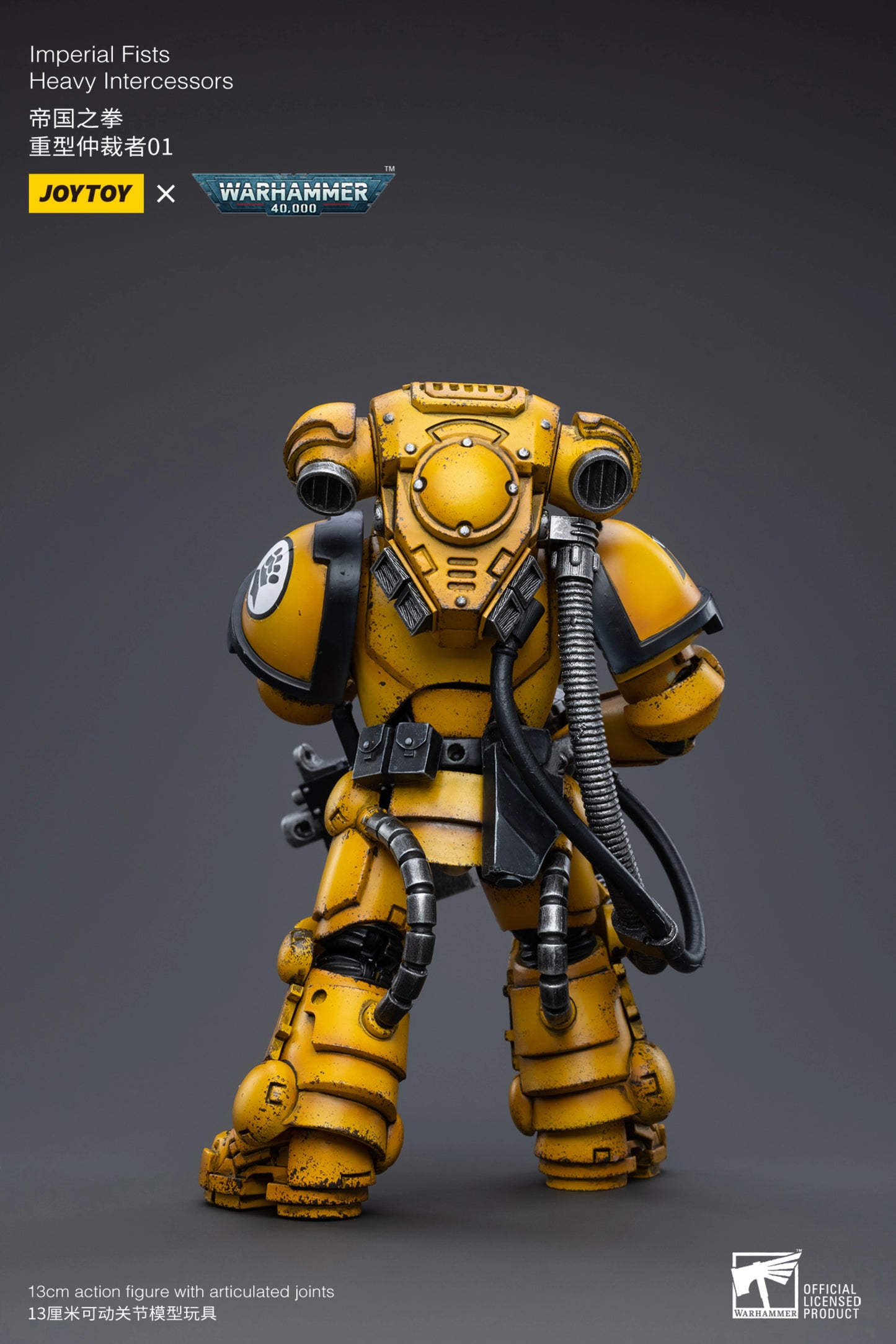 Imperial Fists Heavy Intercessors