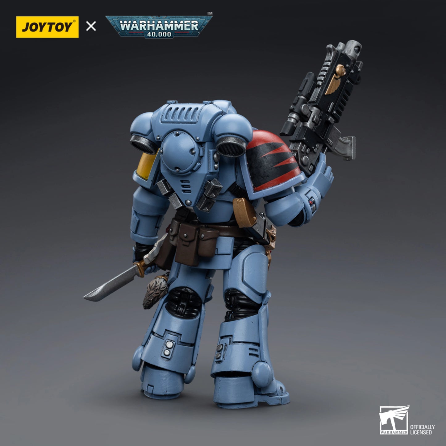 Space Wolves Intercessors