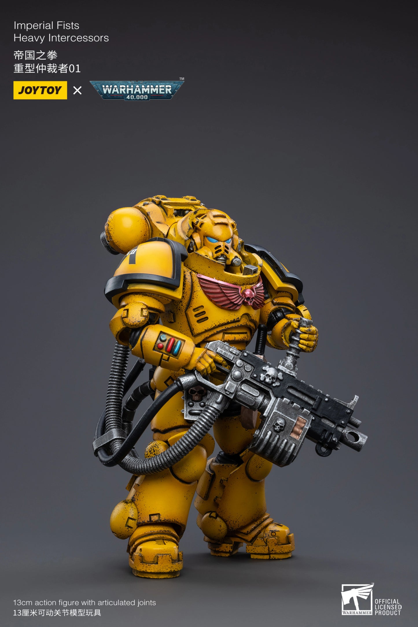 Imperial Fists Heavy Intercessors